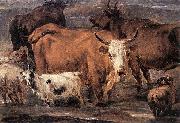 Nicolaes Pietersz. Berchem Animal Study oil painting reproduction